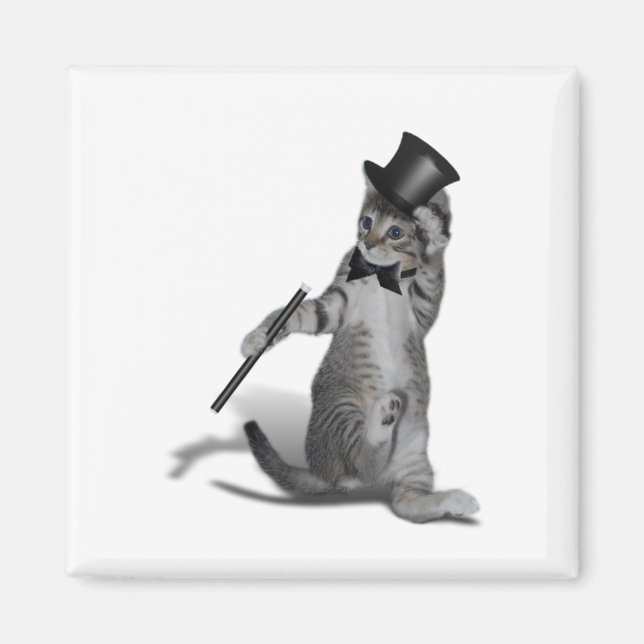 Tap Dancing Kitten Magnet (Front)