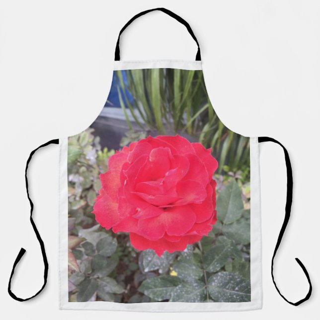 tap de apron (Front)