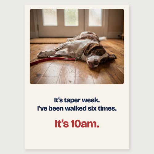 Taper Week Funny Good Luck Card from the Dog