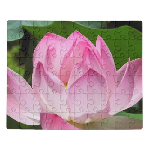 Tapestry Jigsaw Puzzle