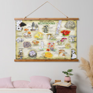 Tapestry Mushrooms (edible and medicinal)