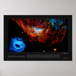 Tapestry of Blazing Starbirth (NGC 2014, NGC 2020) Poster