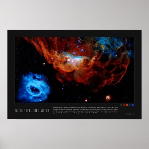 Tapestry of Blazing Starbirth NGC 2014 NGC 2020 Poster