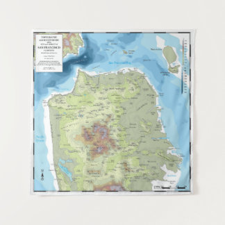 Tapestry - SF Topographic & Bathymetric Map