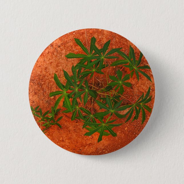 "Tapioca on Mars" Button (Front)