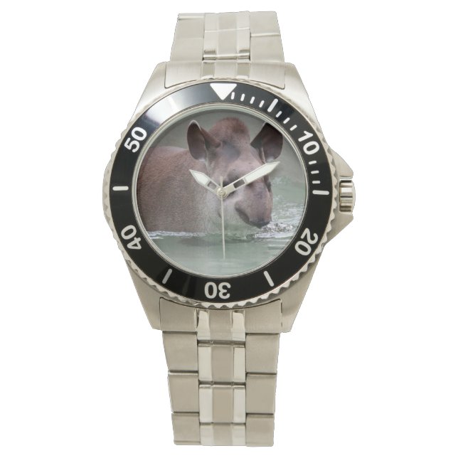 Tapir_2015_0101 Watch (Front)