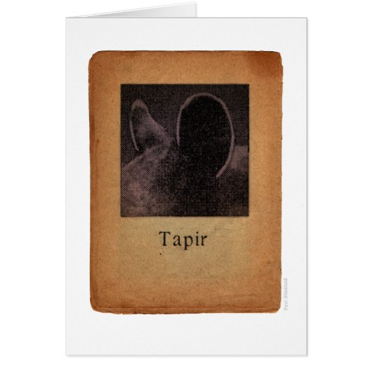 Tapir Cards (Front)