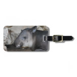 Tapir Luggage Tag