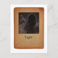 Tapir Postcard