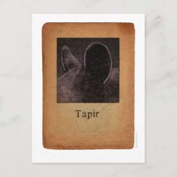 Tapir Postcard by StrangeStore at Zazzle