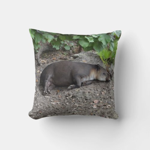 tapir sleeping on sand throw pillow