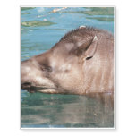 Tapir Temporary Tattoos
