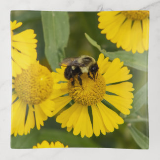 Tapping In Trinket Tray