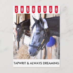 Tapwrit & Always Dreaming Postcard