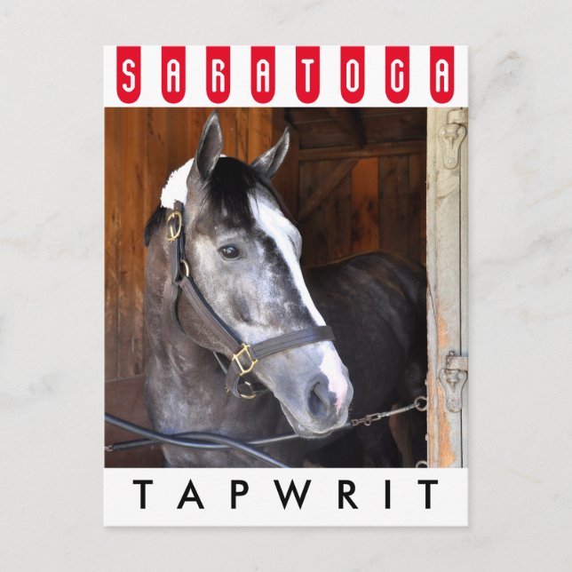 Tapwrit Postcard (Front)