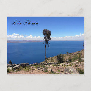 taquile tree postcard