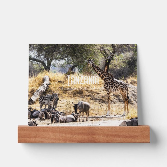 Tarangire National Park Picture Ledge (Front)