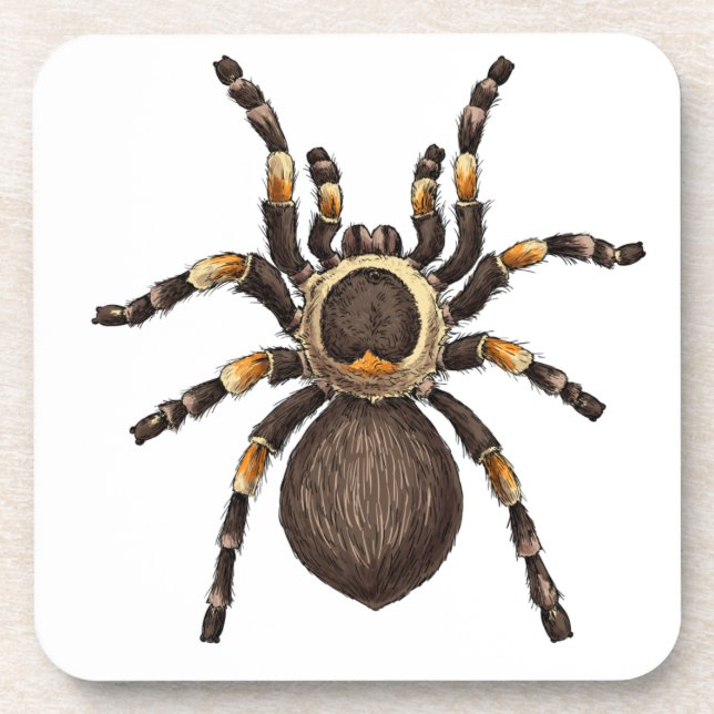 Tarantula Beverage Coaster (Front)