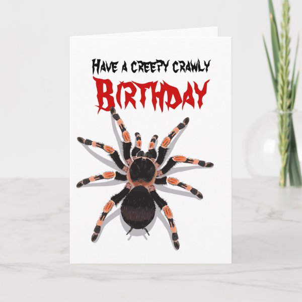 Spider Cards | Zazzle