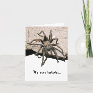Tarantula Birthday Card