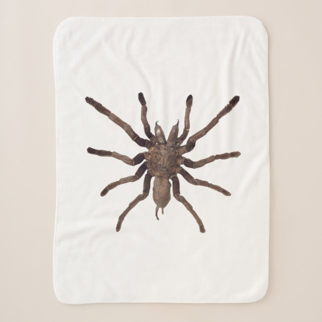 Tarantula Blanket  (Front)