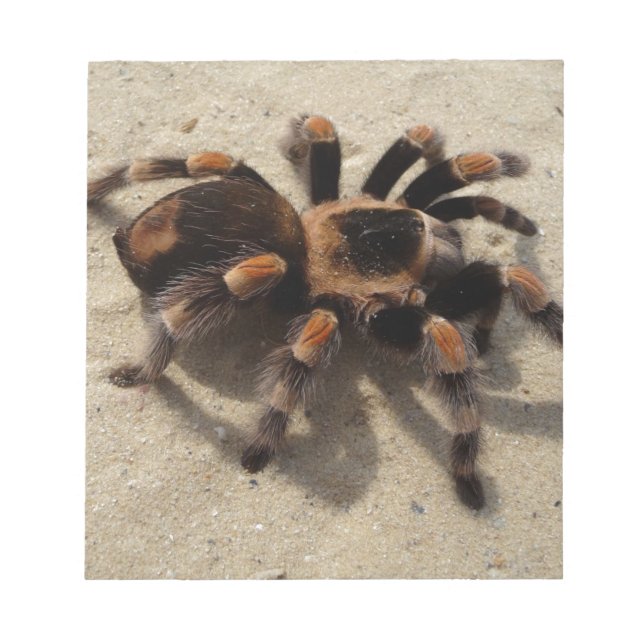 Tarantula brachypelma red knee poisonous notepad (Front)