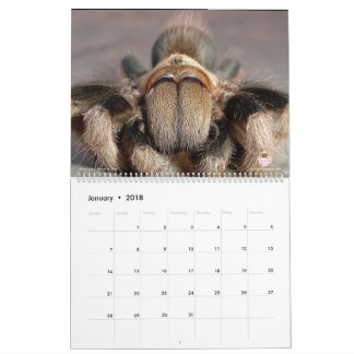 Tarantula Calendar for 2018