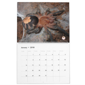 Tarantula Calendar for 2018