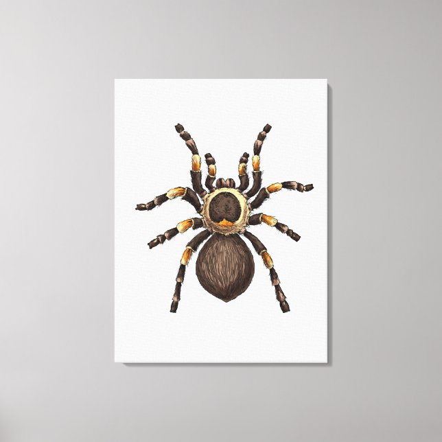 Tarantula Canvas Print (Front)