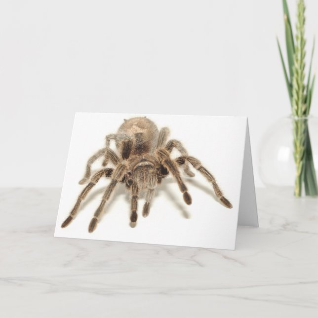 Tarantula Card (Front)