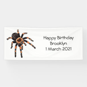 Tarantula cartoon illustration banner