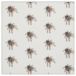 Tarantula cartoon illustration fabric