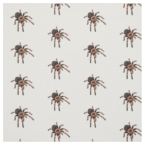 Tarantula cartoon illustration fabric