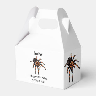 Tarantula cartoon illustration favor boxes