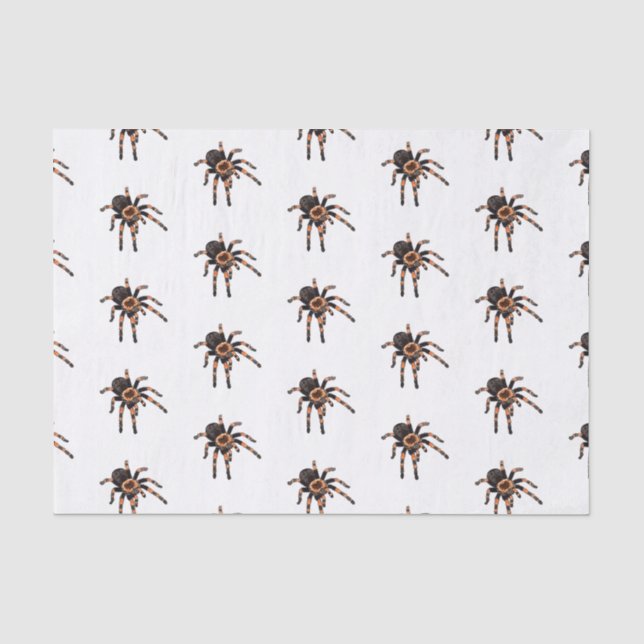 Tarantula cartoon illustration tissue paper (Front)