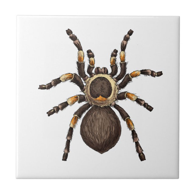 Tarantula Ceramic Tile (Front)