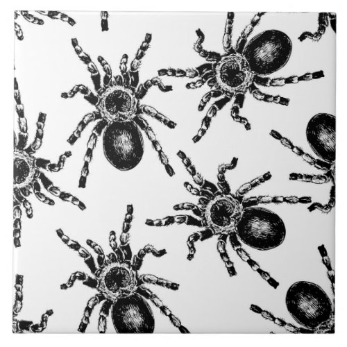 Tarantula Ceramic Tile