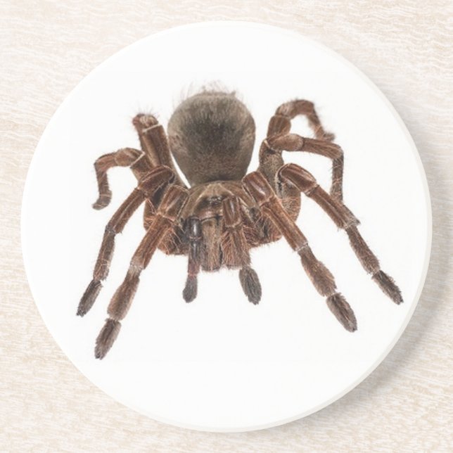 TARANTULA DRINK COASTER (Front)