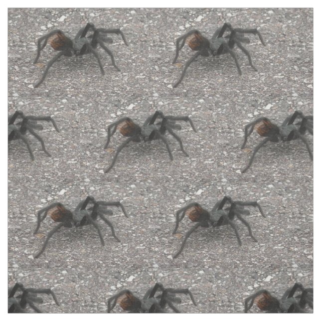 Tarantula Fabric (Swatch)