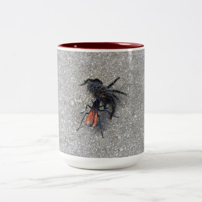 Tarantula Hawk Feeding On A Tarantula Two-Tone Coffee Mug (Center)