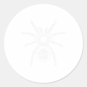 Tarantula Huge Spider Phobia Halloween Costume Ara Classic Round Sticker