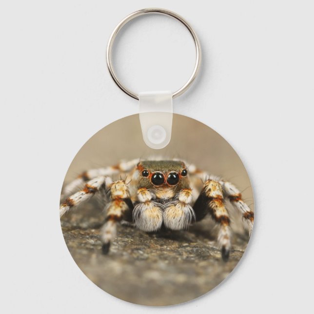 Tarantula Jumping Bird Spider awesome accessories Keychain (Front)