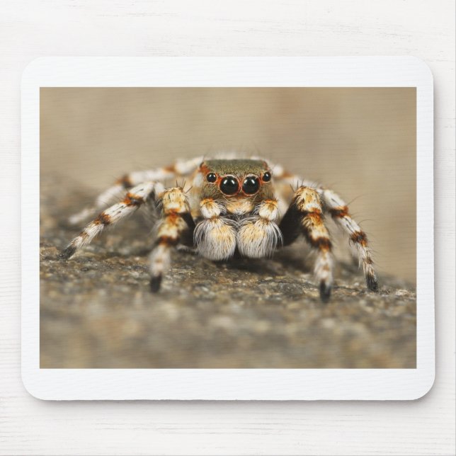 Tarantula Jumping Bird Spider awesome accessories Mouse Pad (Front)