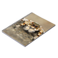 Tarantula Jumping Bird Spider awesome accessories Notebook