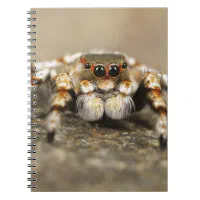 Tarantula Jumping Bird Spider awesome accessories Notebook