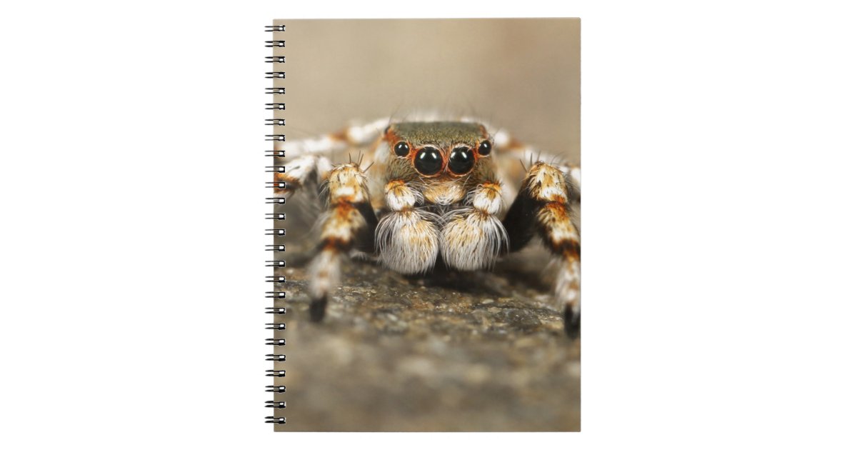 Tarantula Jumping Bird Spider awesome accessories Notebook