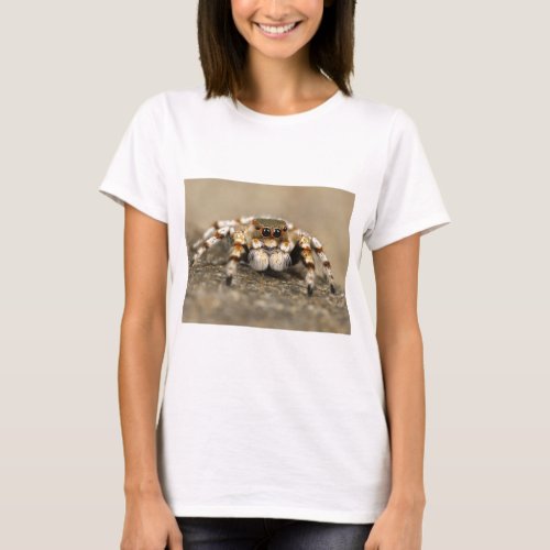 Tarantula Jumping Bird Spider awesome accessories T_Shirt