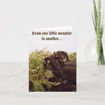 Tarantula Little Monster Birthday Card by erinphotodesign at Zazzle