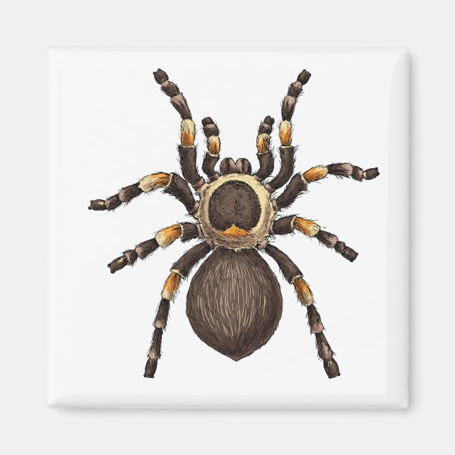 Tarantula Magnet (Front)