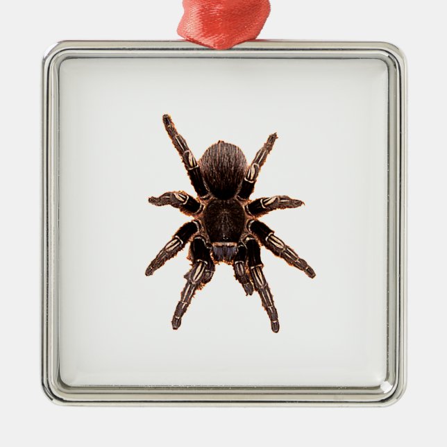 Tarantula Metal Ornament (Front)